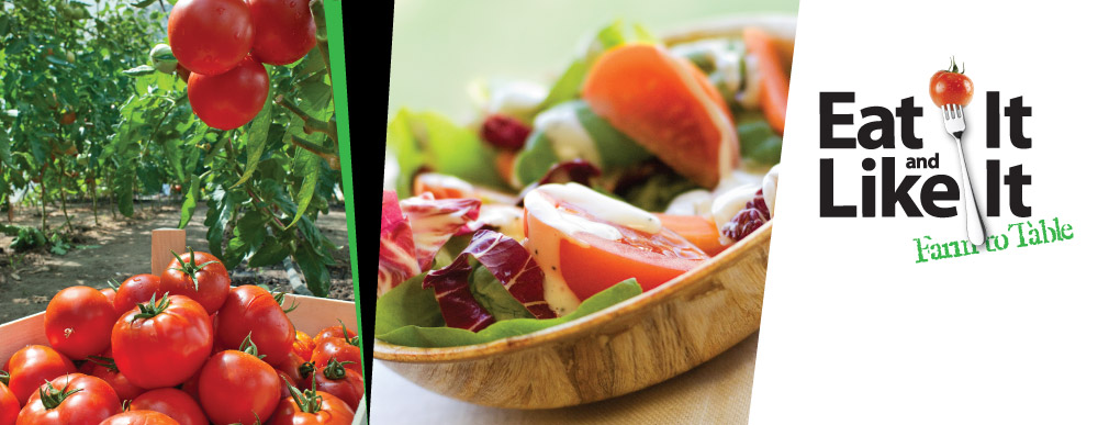 Farm to Table