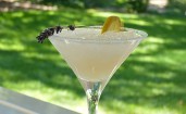lavender-lemon-martini