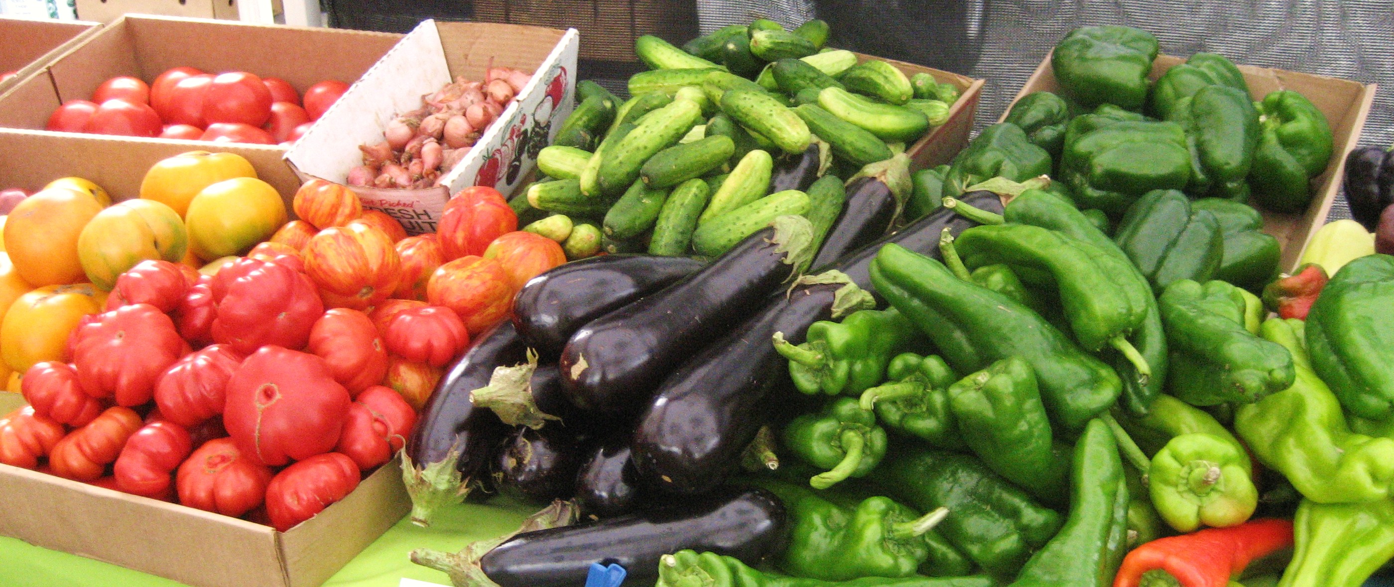June is National Fruit and Veggies Month!
