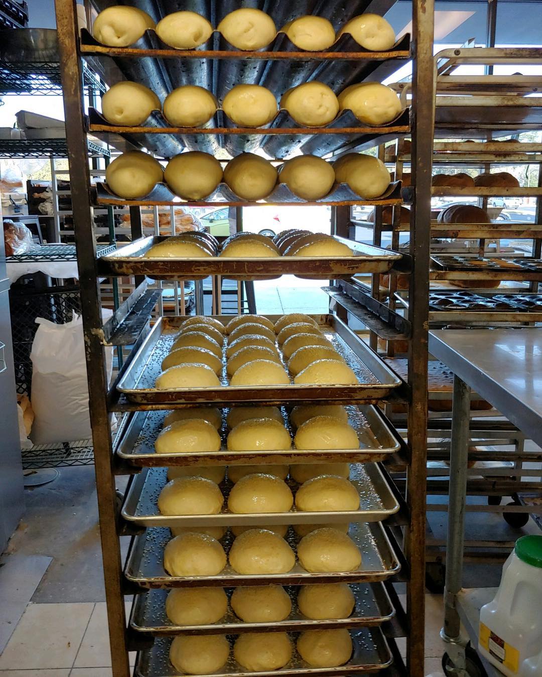 Best Bakery Savannah Gottlieb's Bakery Eat It and Like It