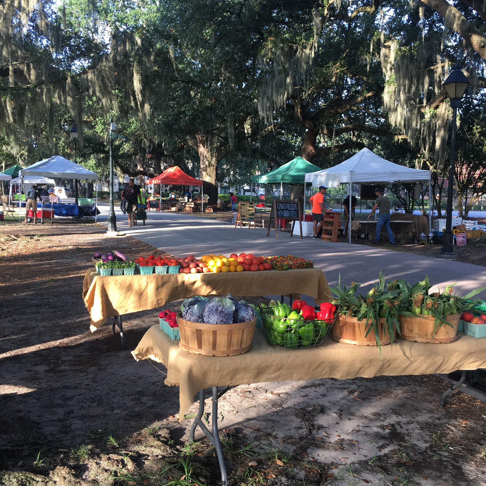 Forsyth Farmer's Market annual Picnic to be held Sunday